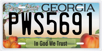 GA license plate PWS5691