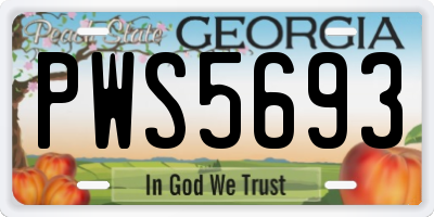 GA license plate PWS5693