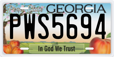 GA license plate PWS5694