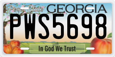 GA license plate PWS5698