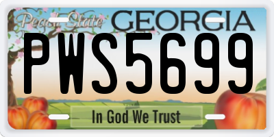 GA license plate PWS5699