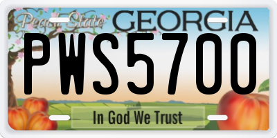 GA license plate PWS5700