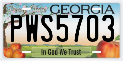 GA license plate PWS5703