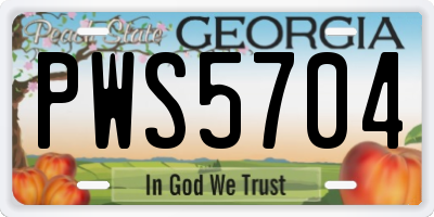 GA license plate PWS5704