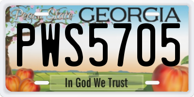 GA license plate PWS5705