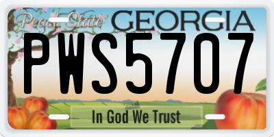 GA license plate PWS5707