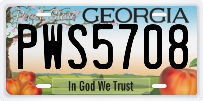 GA license plate PWS5708