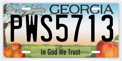 GA license plate PWS5713
