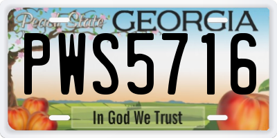 GA license plate PWS5716