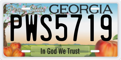 GA license plate PWS5719