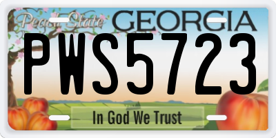 GA license plate PWS5723