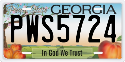GA license plate PWS5724
