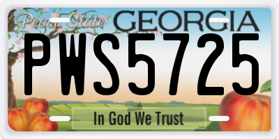GA license plate PWS5725