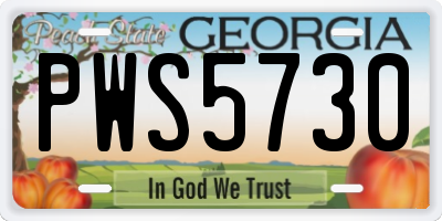 GA license plate PWS5730