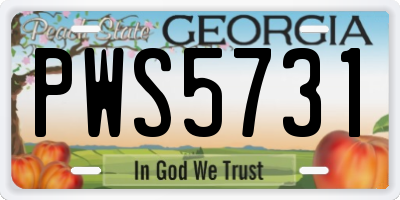 GA license plate PWS5731