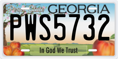 GA license plate PWS5732