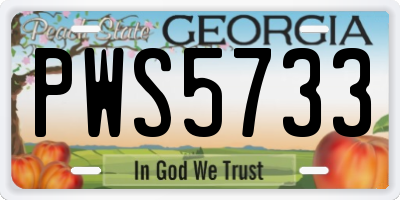 GA license plate PWS5733