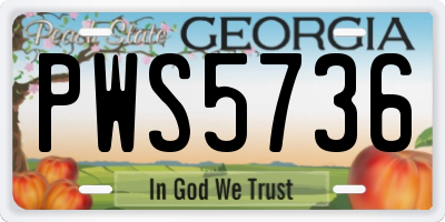 GA license plate PWS5736