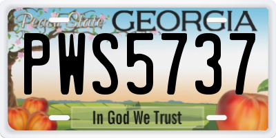 GA license plate PWS5737