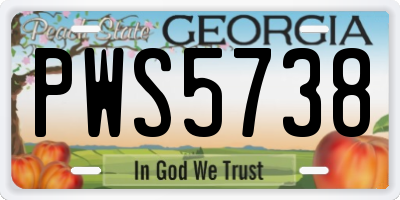 GA license plate PWS5738