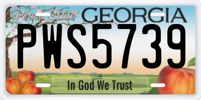 GA license plate PWS5739