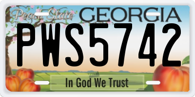 GA license plate PWS5742