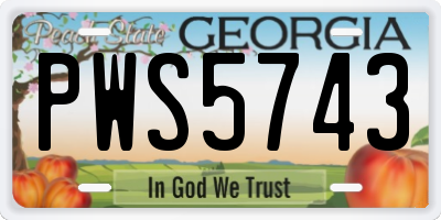 GA license plate PWS5743