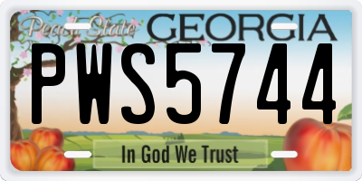 GA license plate PWS5744