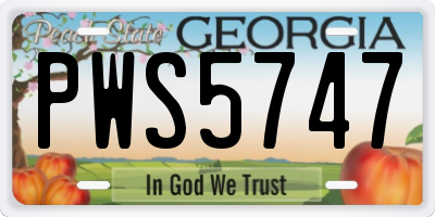 GA license plate PWS5747