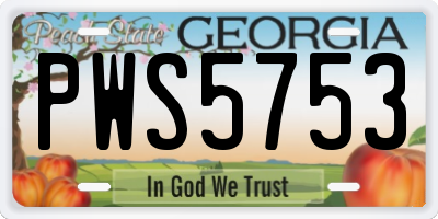 GA license plate PWS5753
