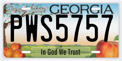 GA license plate PWS5757