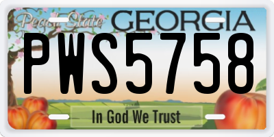 GA license plate PWS5758