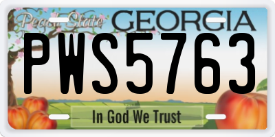 GA license plate PWS5763