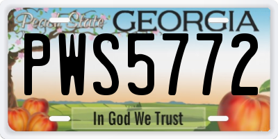GA license plate PWS5772