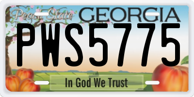 GA license plate PWS5775