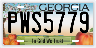 GA license plate PWS5779
