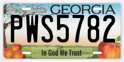 GA license plate PWS5782