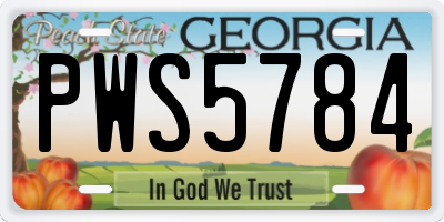 GA license plate PWS5784