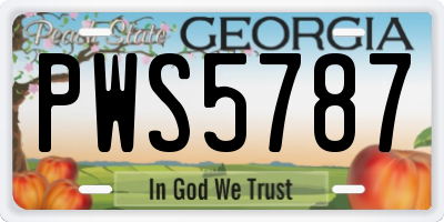 GA license plate PWS5787