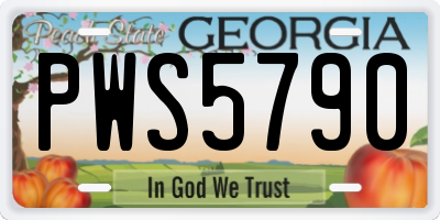 GA license plate PWS5790