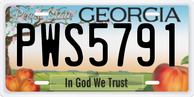 GA license plate PWS5791