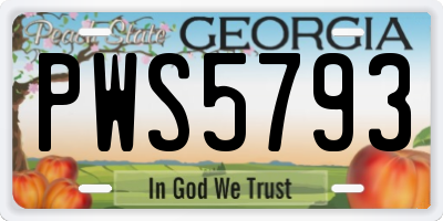 GA license plate PWS5793