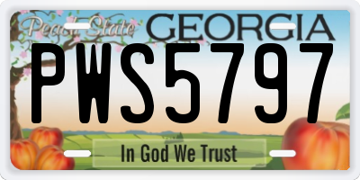 GA license plate PWS5797