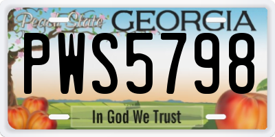 GA license plate PWS5798