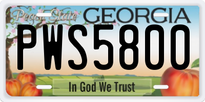 GA license plate PWS5800