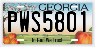 GA license plate PWS5801