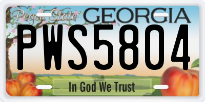 GA license plate PWS5804