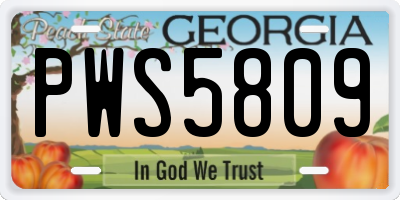 GA license plate PWS5809