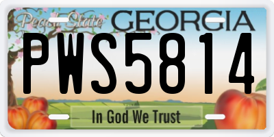 GA license plate PWS5814