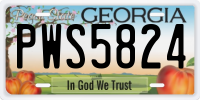 GA license plate PWS5824